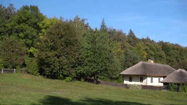 Thatched rural house in farmland — Stock Video