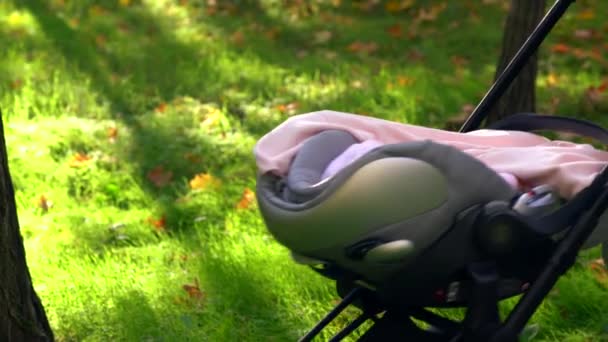 Kompakt bebek arabası park çocuk — Stok video