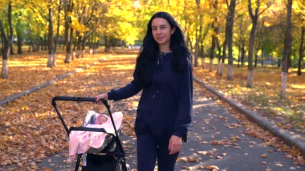 Young woman pulling baby stroller in park — Stock Video