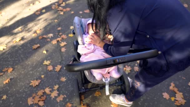 Madre y bebé en cochecito de pie en el parque — Vídeo de stock