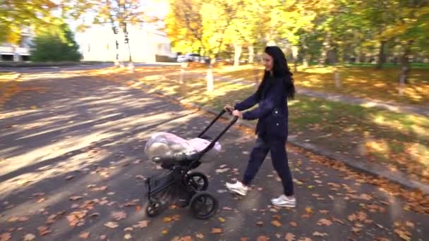 Madre con cochecito de bebé caminando — Vídeo de stock