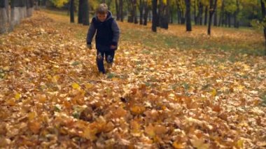 Genç çocuk koşma, atlama ve sonbaharda yere park sarı yapraklar derin tabakası dalış tam uzunlukta onun ön görüntülendi?
