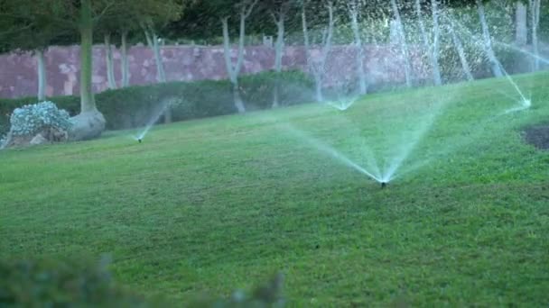 Three sprinklers watering a lawn in a park — Stock Video