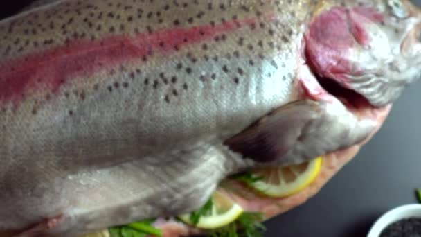 Trucha fresca de salmón entero rellenas crudas — Vídeo de stock