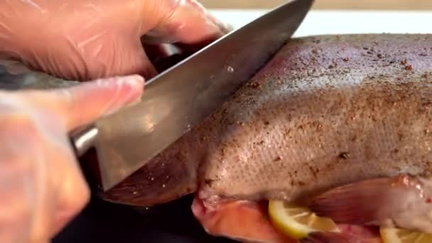 Chef en un restaurante rebanando un pescado crudo — Vídeo de stock