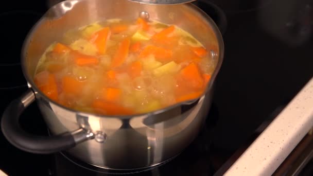 在锅里泡泡的新鲜南瓜 — 图库视频影像