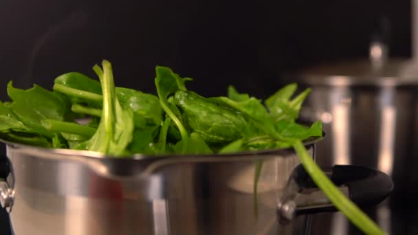 Topf dampft auf einem heißen Herd mit Gemüse gefüllt — Stockvideo