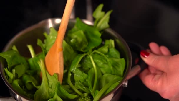 Ama de casa revolviendo una olla de verduras humeantes — Vídeo de stock