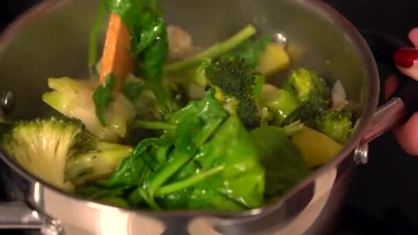 Mujer cocinando una olla de verduras frescas surtidos — Vídeos de Stock