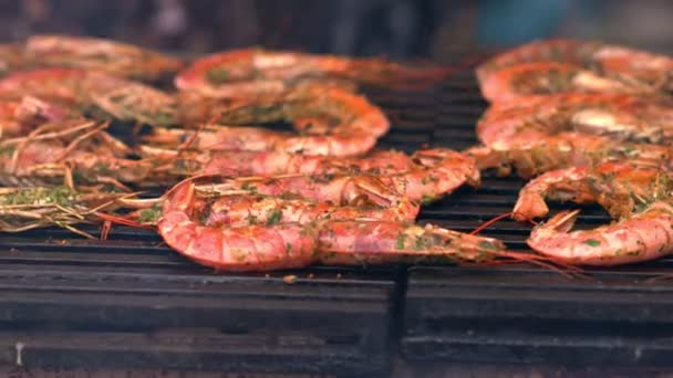 Whole gourmet pink prawns on a grill — Stock Video