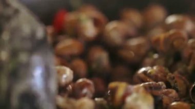 Cook pişirme salyangoz bir tencerede karıştırarak