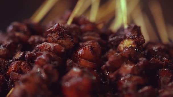 Dekat pada tumpukan kebab panggang renyah — Stok Video