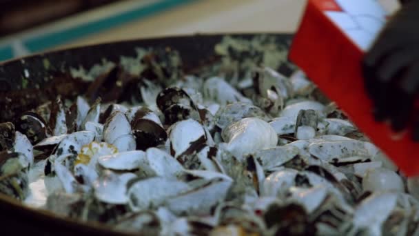 ムール貝にクリーミーソースをかけるシェフ — ストック動画