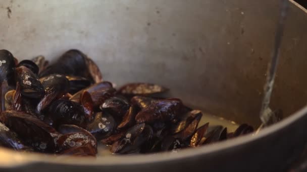 Stor kastrull med kokt färsk marin musslor — Stockvideo