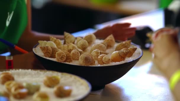 Μπολ μαγειρεμένα γκουρμέ σαλιγκάρια στο αλάτι — Αρχείο Βίντεο