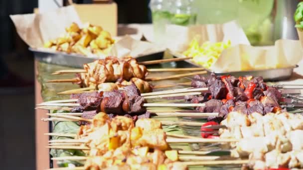 Grote verscheidenheid aan gegrilde vlees Kebab — Stockvideo