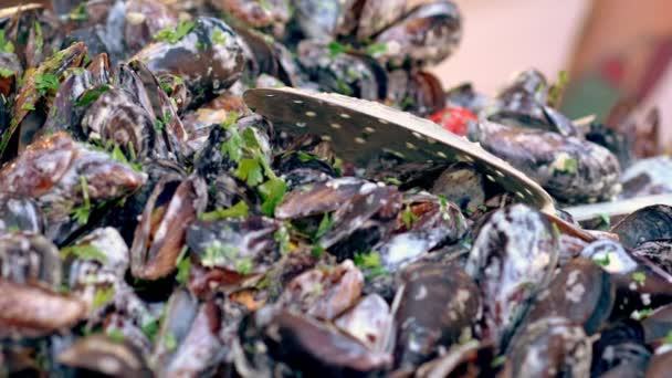 クリーミーなソースで新鮮な蒸しムール貝 — ストック動画