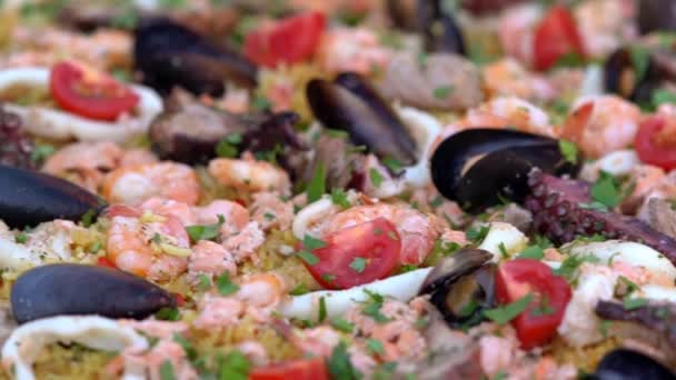Gourmet piring dari berbagai macam makanan laut dimasak — Stok Video