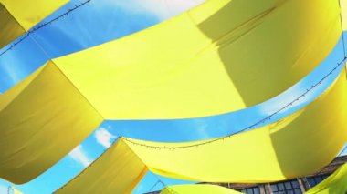 Mavi bir gökyüzüne karşı sarı kiraz kuşu sallayarak