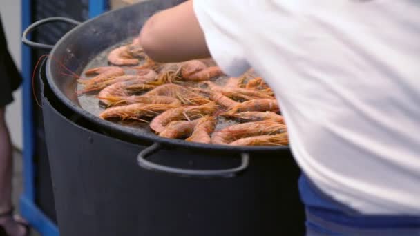 Vrouw koken verse roze garnalen op een bakplaat — Stockvideo