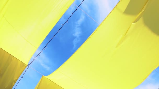 Çadır çerçevesi üzerinde sarı kiraz kuşu şeritleri — Stok video