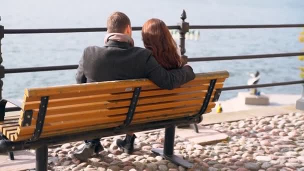 Loving young couple sitting arm in arm — Stock Video