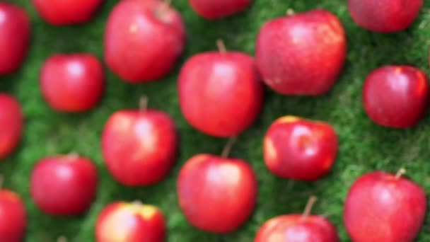 Red apples on green lawn — Stock Video