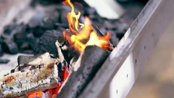 Carbón vegetal preparado en brasero — Vídeos de Stock