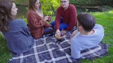 Dört genç arkadaş parkta piknik yapıyor.