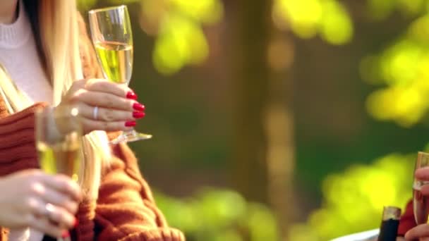 Vänner jublar med glas vin utomhus — Stockvideo