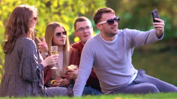 Groep vrienden neemt een selfie tijdens de picknick — Stockvideo