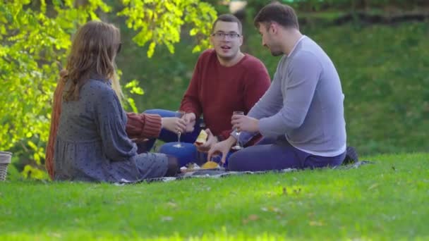 Dos parejas jóvenes celebrando juntas en un parque — Vídeos de Stock
