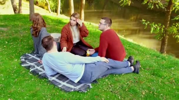 Vysoký úhel pohledu na dva mladé páry picnicking — Stock video