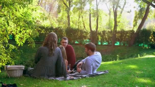 Grupp unga vänner som kopplar av i en park på hösten — Stockvideo