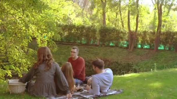 Четверо молодых друзей наслаждаются праздничным пикником — стоковое видео