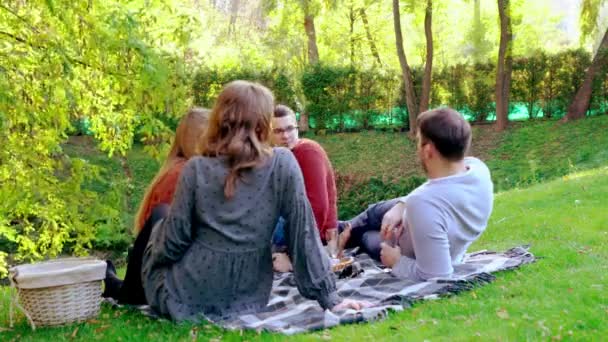 Czterech przyjaciół rozmawia na pikniku w parku — Wideo stockowe