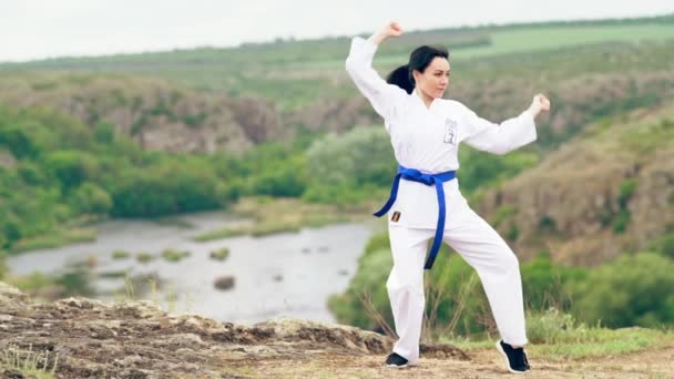 Giovane donna che pratica arti marziali in campagna — Video Stock