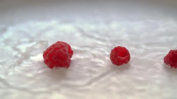 Reife rote Himbeeren fallen ins Wasser — Stockvideo