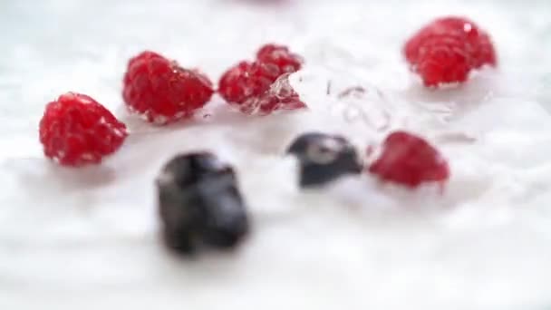 Sortiment an frischen Beeren, die ins Wasser fallen — Stockvideo