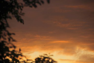 Gün batımı alacakaranlık suç renkleri