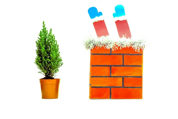 two objects isolated on a white background: a small live Christmas tree and a red brick pipe.