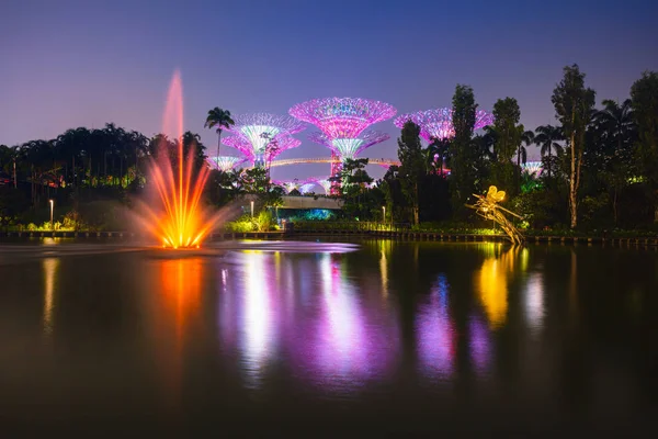 Floresta Supertree Grove Iluminada Noite Jardins Perto Baía Cidade Singapura — Fotografia de Stock