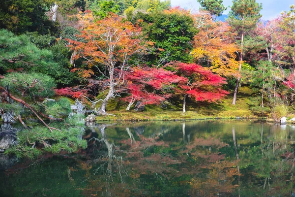 Осенний Пейзаж Осенний Парк Японии — стоковое фото