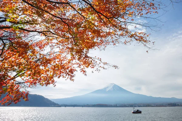 Fuji Japan Höst — Stockfoto