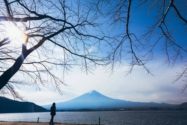 เขาฟ ในฤด ใบไม วงท ทะเลสาบคาวาก โกะ ประเทศญ — ภาพถ่ายสต็อก