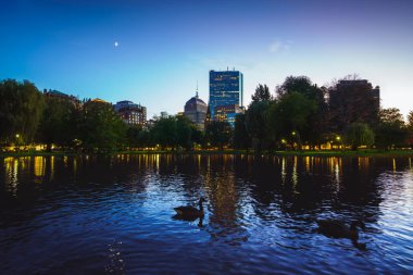 Boston Massachusetts ABD Boston Kamu Bahçe gölette