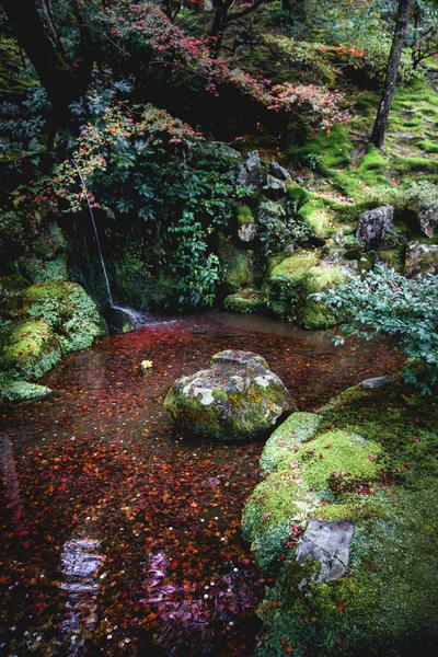 Foglie Autunnali Sull Acqua Paesaggio Autunnale — Foto Stock