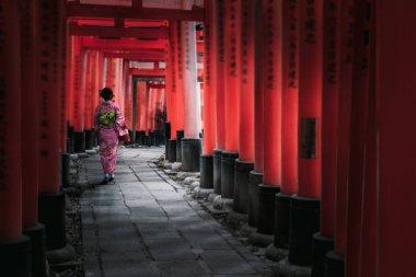 Kırmızı yakın kapılarında, Fushimi Inari-Tapınak, Kyoto Japonya yürüyüş kimono kadınlarda