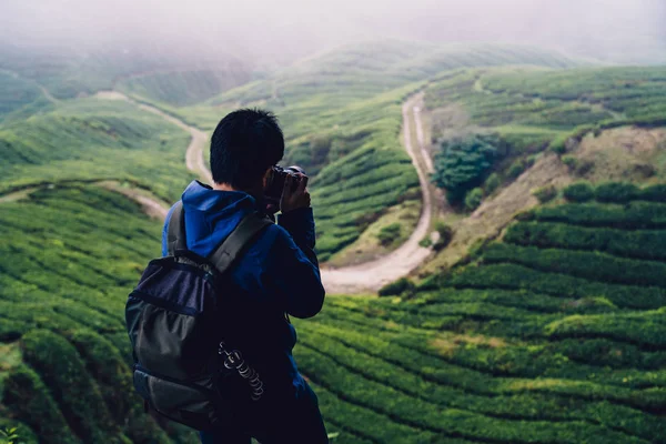 Backpacker traveling into tea field — Stock Photo, Image