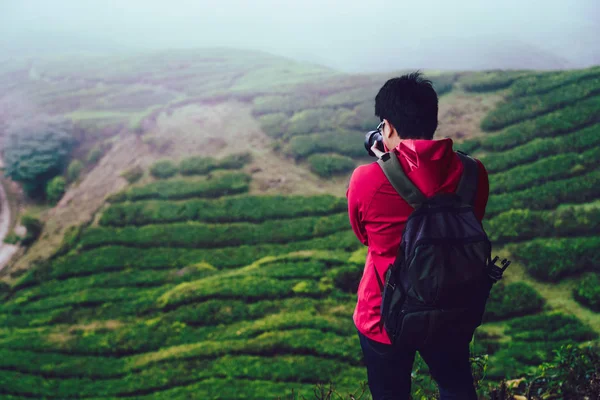 Backpacker traveling into tea field — Stock Photo, Image